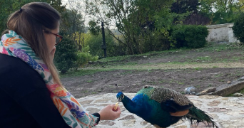 anne-claire pet sitter à LIBOURNE 33500_3