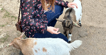 zoé pet sitter à LILLE 59000_3