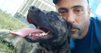 yann pet sitter à LILLE 59000_0