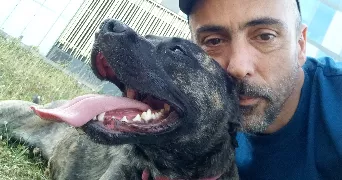 yann pet sitter à LILLE 59000