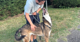 alec pet sitter à BRON 69500_3