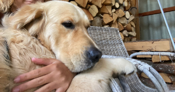 mila pet sitter à PARIS 18 75018_2