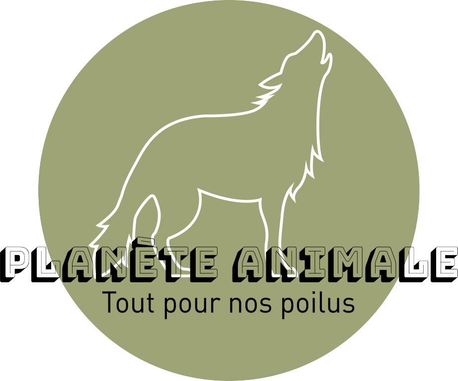 Nathalie pet sitter à Seignosse 40510