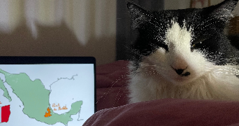 emie pet sitter à LUCENAY 69480_2