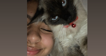 aicha pet sitter à VILLENEUVE D ASCQ 59650_0