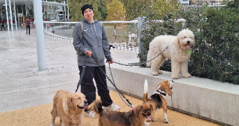 melanie pet sitter à ROQUEBRUNE CAP MARTIN 06190_7