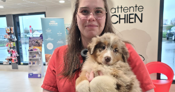 claudie pet sitter à ROZ LANDRIEUX 35120_6