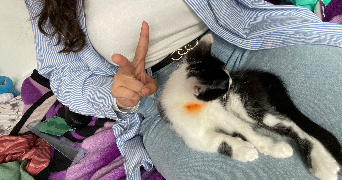 nerymène pet sitter à ARGENTEUIL 95100_1