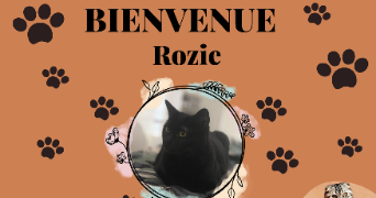 leslie anne pet sitter à STE GENEVIEVE DES BOIS 91700_2