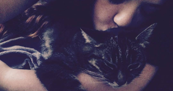 steecy pet sitter à LOUANNEC 22700_2