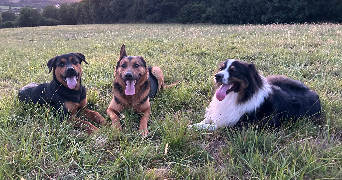 pauline pet sitter à Mauves-sur-Loire 44470_3