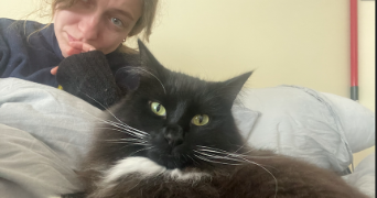 thiphaine pet sitter à PARIS 20 75020_7