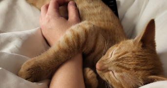 nathalie pet sitter à PARIS 11 75011_1