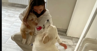 romane pet sitter à JENLAIN 59144_2