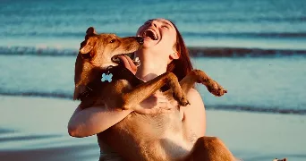 anthea pet sitter à LA ROCHE SUR YON 85000