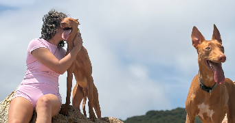 nataly pet sitter à AJACCIO 20000_2