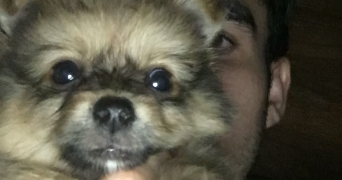 denilson pet sitter à PARIS 01 75001_0