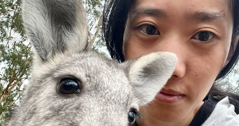 jing pet sitter à OULLINS 69600_1