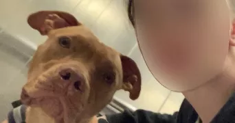 oceane pet sitter à LUCE 28110