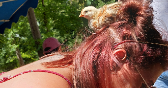 caroline pet sitter à VILLEFRANCHE SUR SAONE 69400_3
