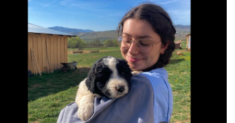 mathilde pet sitter à Toul 54200_0