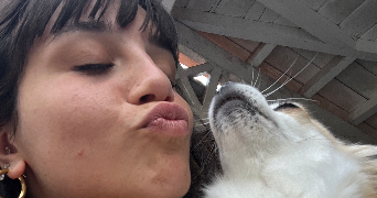 alice pet sitter à RENNES 35000_4