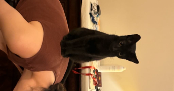 lucie pet sitter à PARIS 18 75018_6