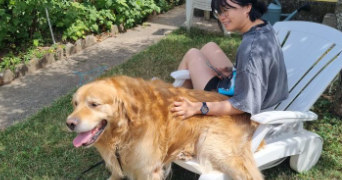 hélène  pet sitter à SCHILTIGHEIM 67300_1