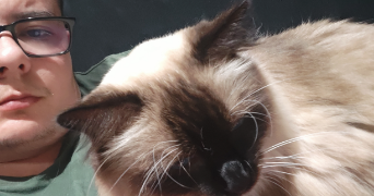 laurentz pet sitter à EPINAY SUR SEINE 93800_1