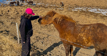 maëe pet sitter à SURESNES 92150_2