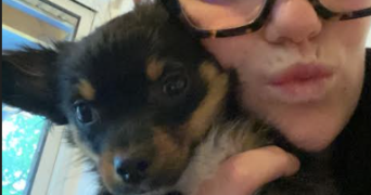 léna pet sitter à MOUAZE 35250_1