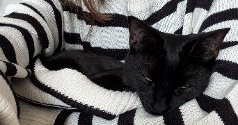 carole pet sitter à BORDEAUX 33000_1