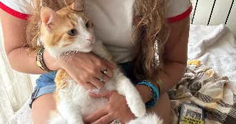 nesrine pet sitter à LILLE 59000_1