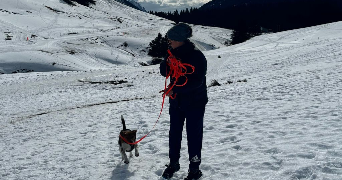 clarence pet sitter à LYON 03 69003_2