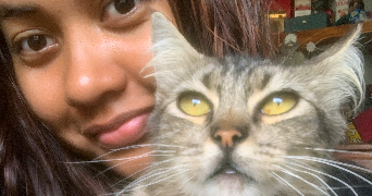 louina pet sitter à TOULOUSE 31400_1