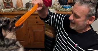 olivier pet sitter à VALENTINE 31800_1