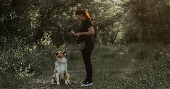 alexandra pet sitter à Gaillac 81600_0
