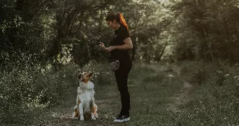 alexandra pet sitter à Gaillac 81600