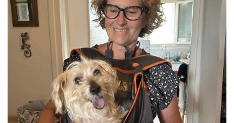 catherine pet sitter à LE HAVRE 76600_0