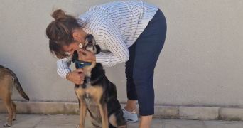caroline pet sitter à ANTONY 92160_2
