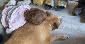 léa pet sitter à LEVROUX 36110_9