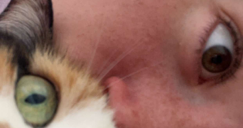 nine pet sitter à AUBERGENVILLE 78410_1