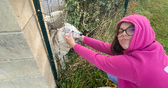 clarence pet sitter à CAEN 14000_1