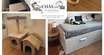 ophelie cat sitter à CHARTRES 28000_25