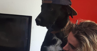 yohann dog sitter à TOULOUSE 31000_3
