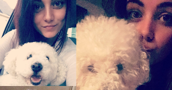 ophelie pet sitter à LES CLAYES SOUS BOIS 78340_1
