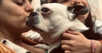 marie pet sitter à VILLEBON SUR YVETTE 91140_1
