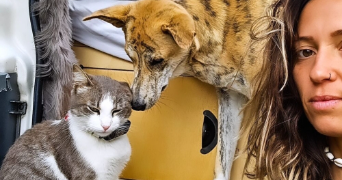 stéphanie pet sitter à AIX LES BAINS 73100_3