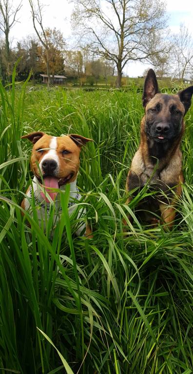 Mathilde pet sitter à Orée-d'Anjou 49270_0