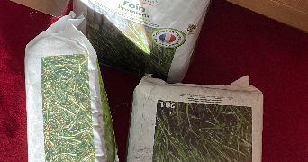 aya pet sitter à ILLKIRCH GRAFFENSTADEN 67400_8